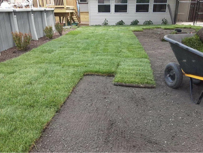 Professional lawn mowing service near you in Maple Park, IL by Lizzy's Lawn and Landscape Design