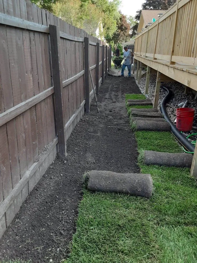 Professional lawn care service near you in Maple Park, IL by Lizzy's Lawn and Landscape Design