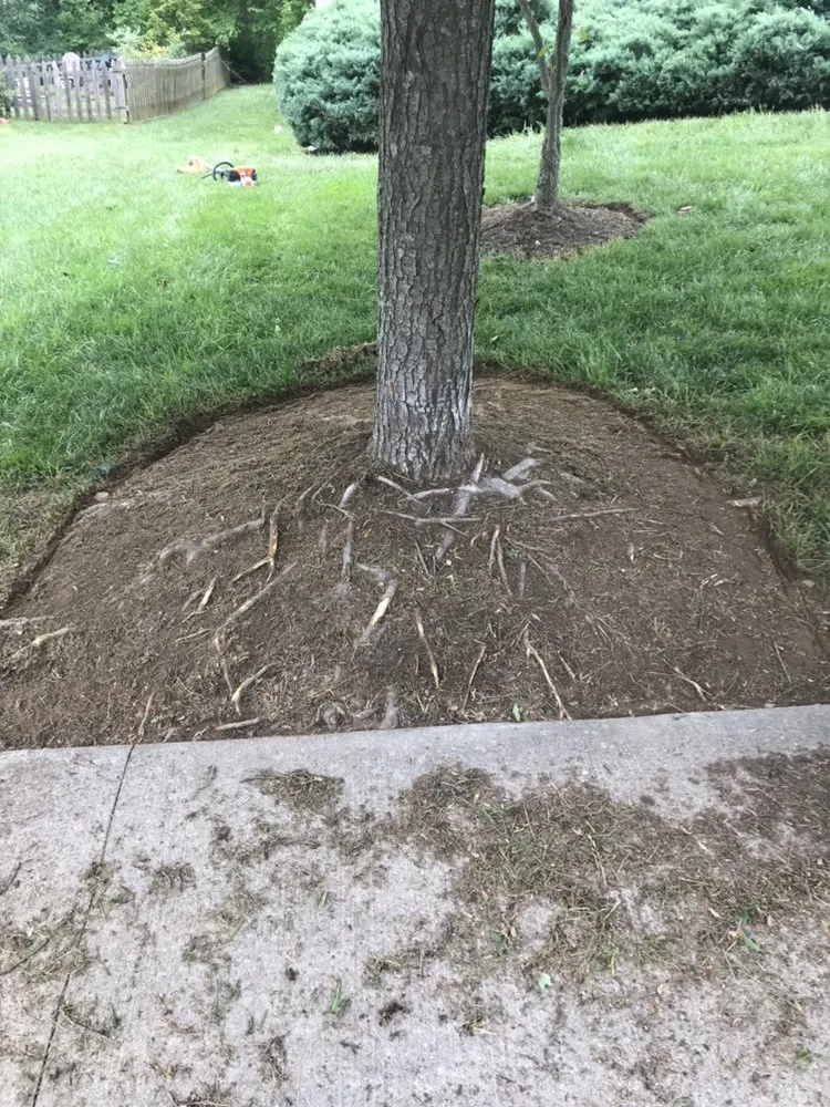 Expert yard maintenance experts serving Christianburg, VA - L&J Contracting