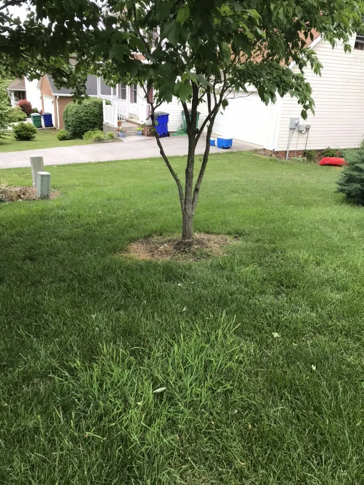 Custom lawn care service in Christianburg, VA - L&J Contracting