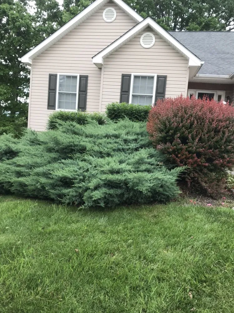 Expert landscape installation experts serving Christianburg, VA - L&J Contracting