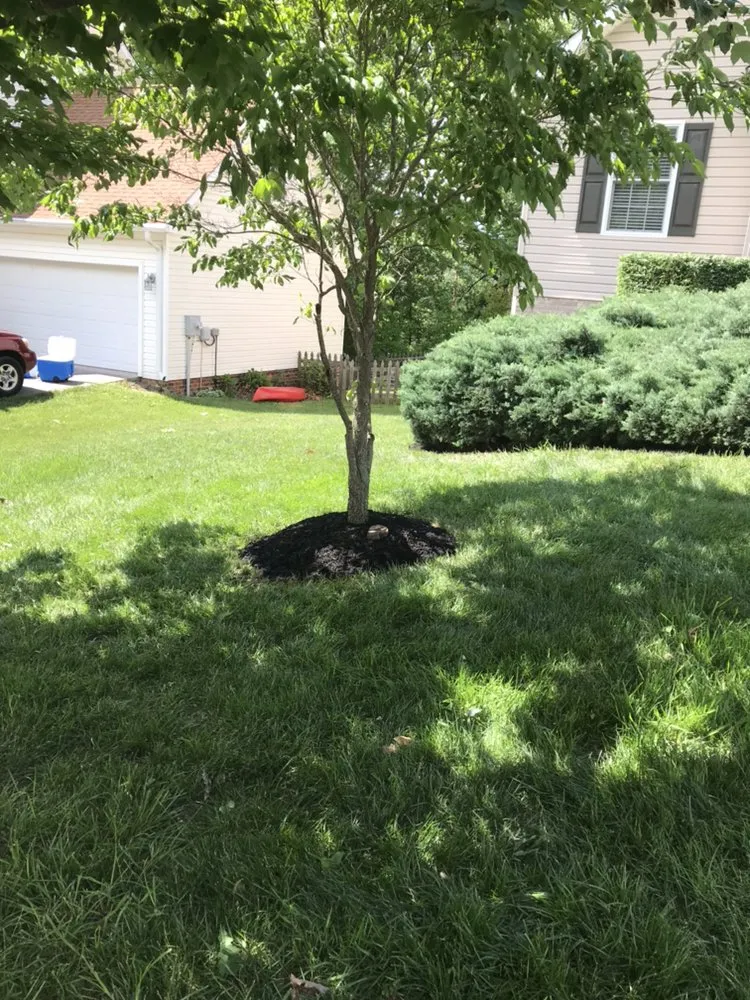 Custom garden landscaping experts serving Christianburg, VA - L&J Contracting