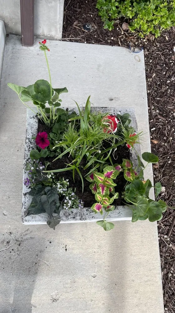 Affordable lawn mowing service for residential properties across West Haven, UT - LJ Gardening