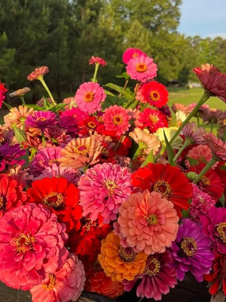 Reliable residential landscaping experts serving West Haven, UT - LJ Gardening