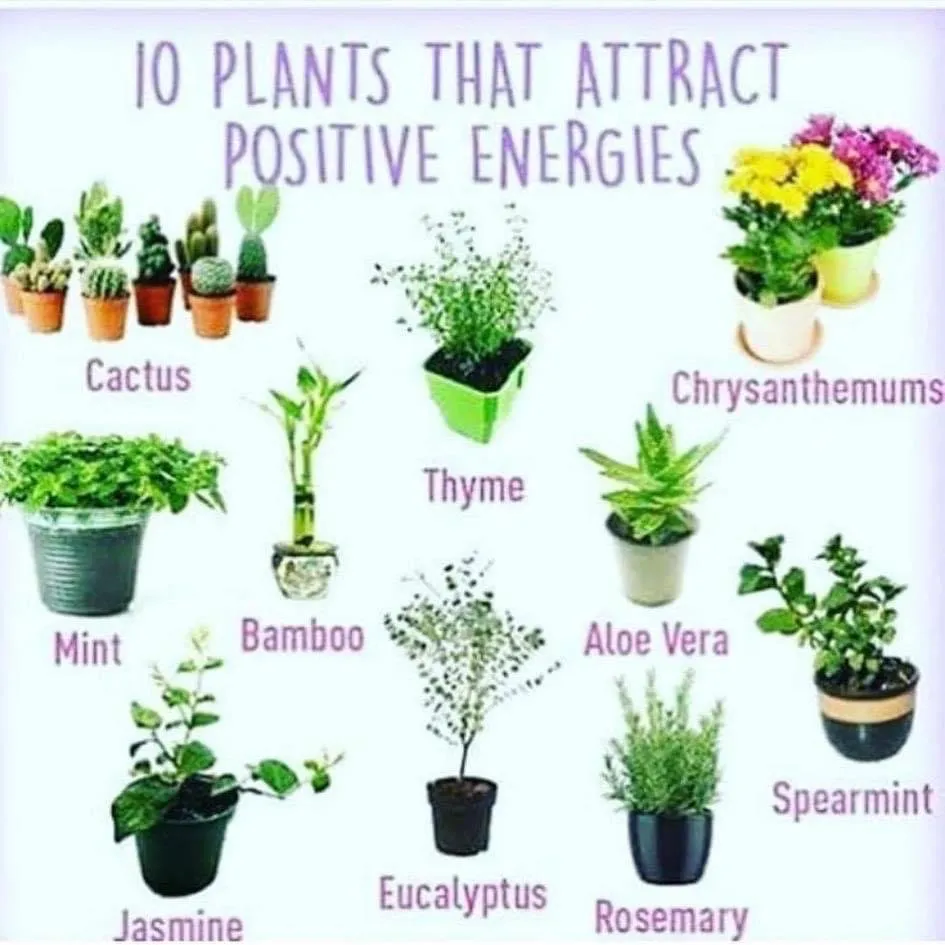 Local residential landscaping in West Haven, UT - LJ Gardening