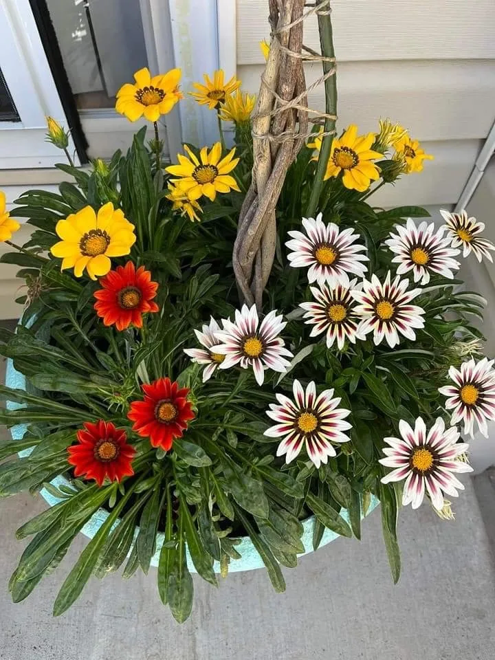 Reliable landscape installation with custom design in West Haven, UT by LJ Gardening