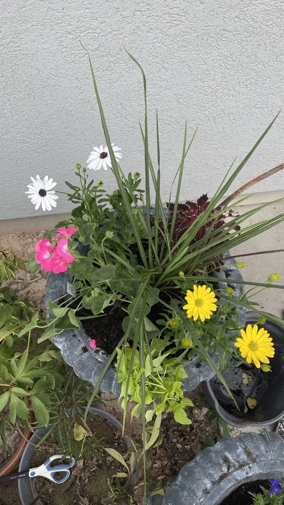 Trusted lawn care service for beautiful yards across West Haven, UT - LJ Gardening