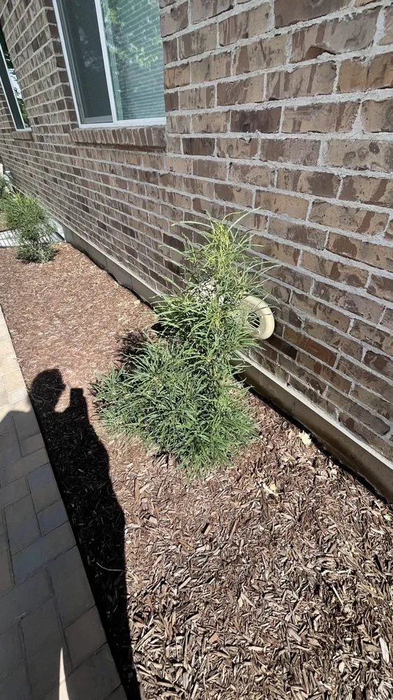 Reliable lawn care service for year-round maintenance across West Haven, UT - LJ Gardening