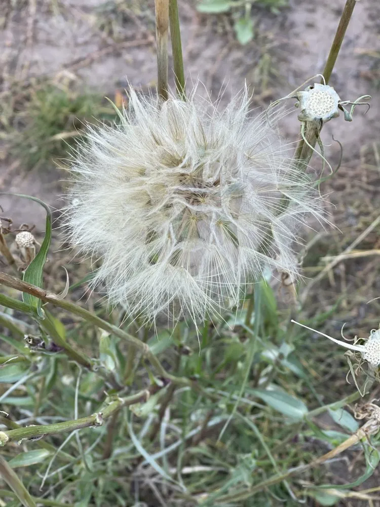 Expert outdoor landscaping with custom design across West Haven, UT - LJ Gardening