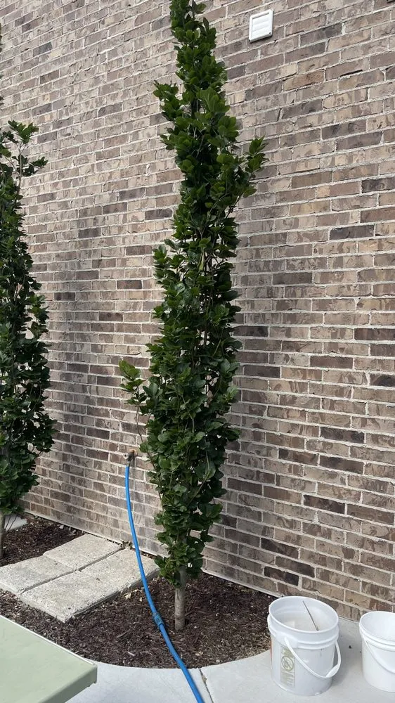 Trusted yard maintenance for homes across West Haven, UT - LJ Gardening