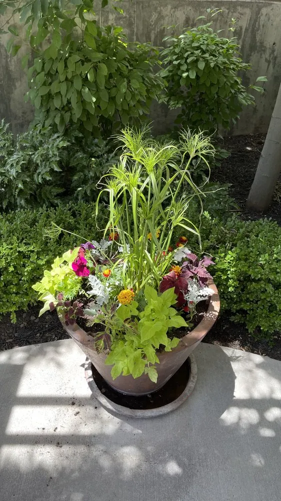 Professional lawn care service in West Haven, UT by LJ Gardening