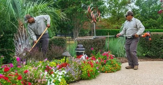 Expert yard maintenance in Hallandale Beach, FL - L&J Landscaping