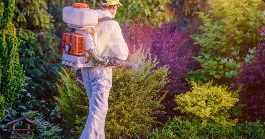 Reliable residential landscaping for residential properties in Hallandale Beach, FL by L&J Landscaping