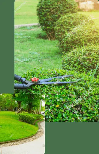 Top-rated residential landscaping for outdoor upgrades in Hallandale Beach, FL by L&J Landscaping