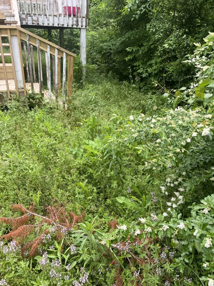 Affordable lawn mowing service for homes in Newport, NC by L&j lawn care