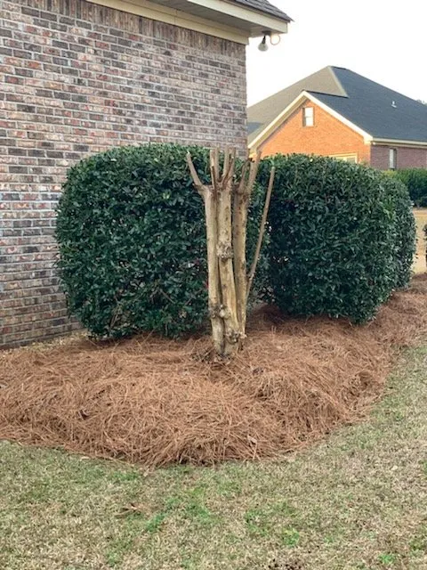 Affordable landscape installation in Quitman, MS - L&J Lawn Care
