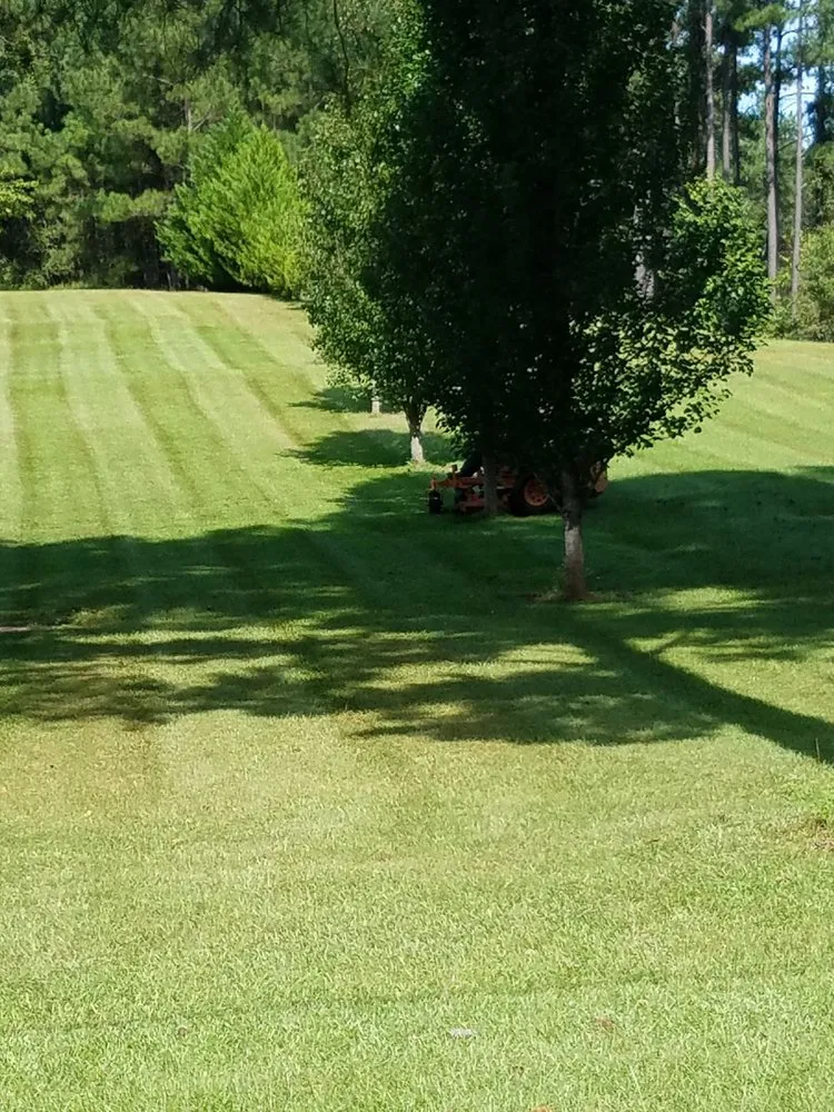 Expert lawn care service for beautiful yards across Quitman, MS - L&J Lawn Care
