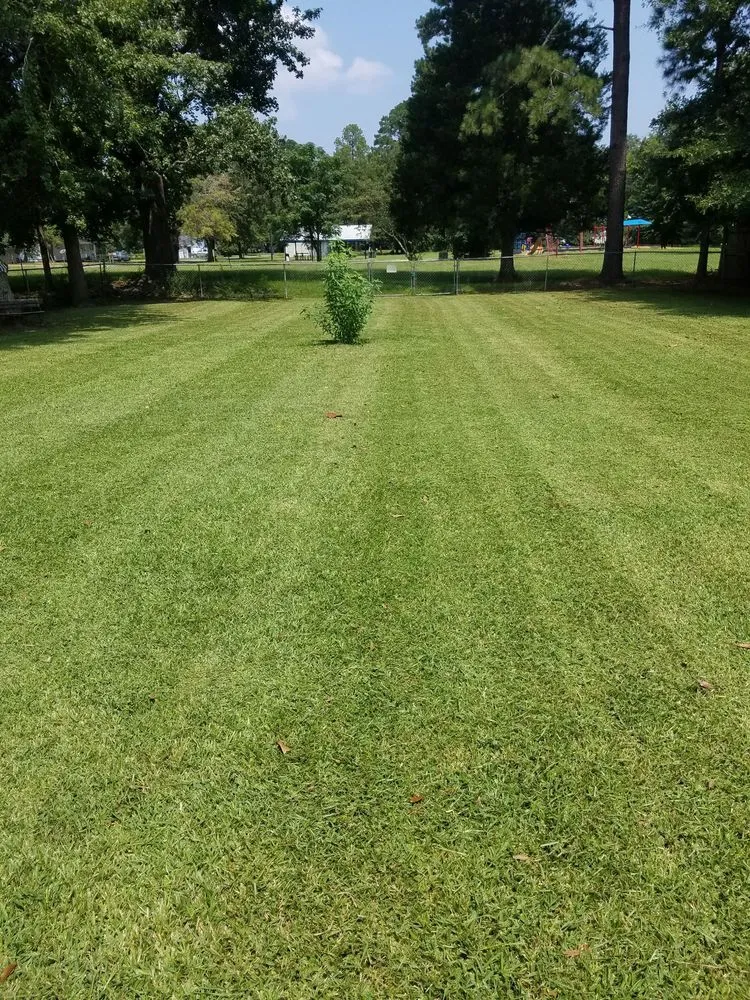 Professional lawn care service near you in Quitman, MS by L&J Lawn Care