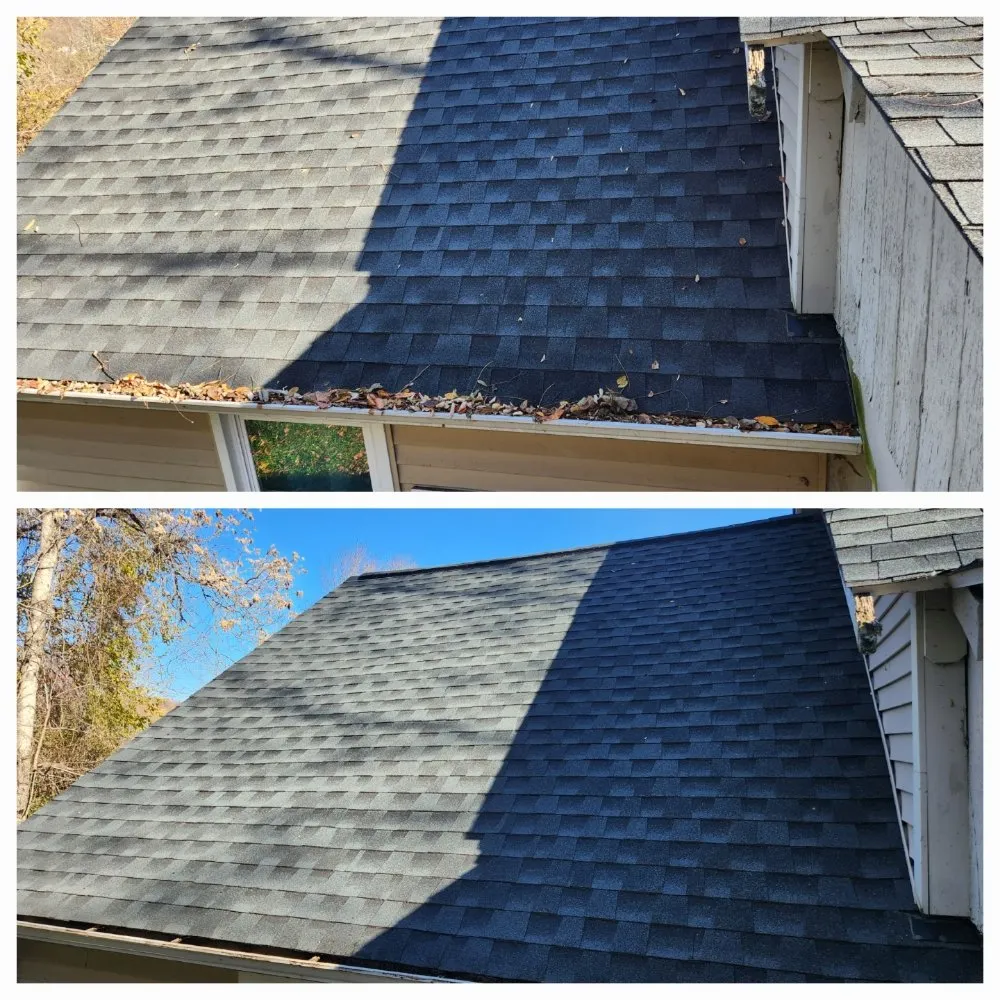 Trusted yard cleanup service experts serving Culpeper, VA - LJ Lawn Care Service