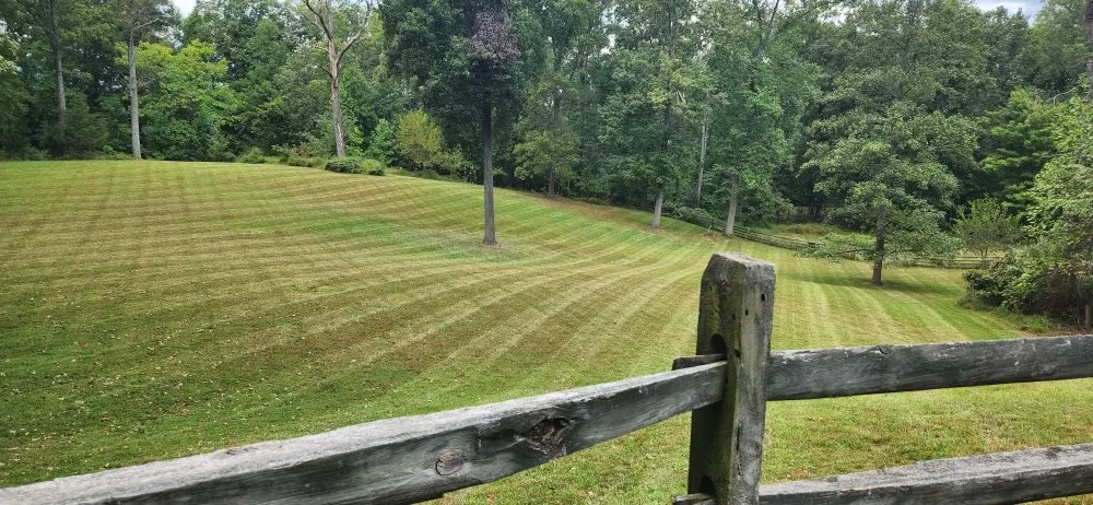 Custom yard cleanup service for year-round maintenance in Culpeper, VA by LJ Lawn Care Service