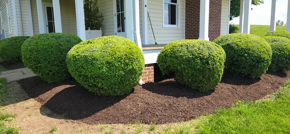 Local landscape design near you across Culpeper, VA - LJ Lawn Care Service