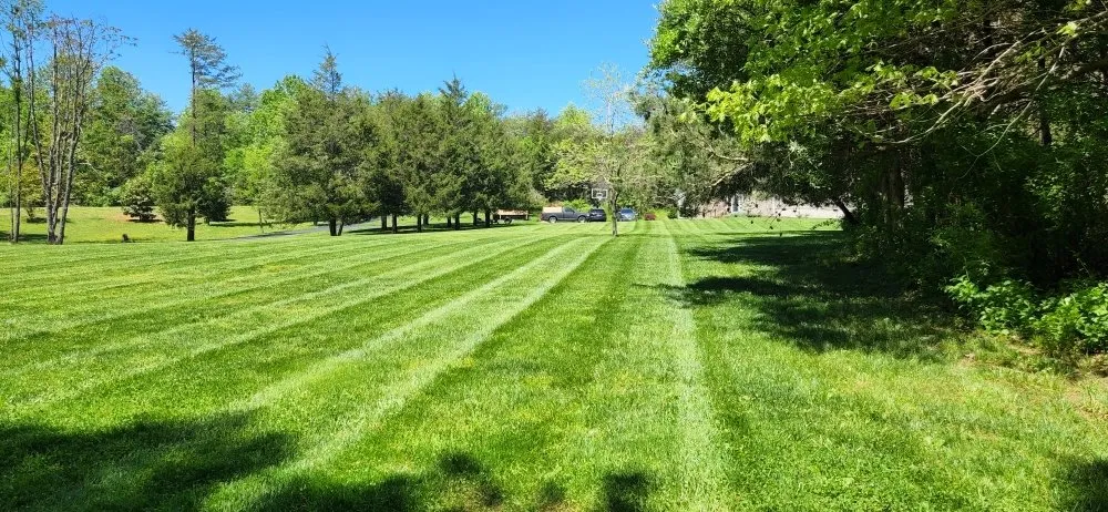 Trusted landscape design for homes across Culpeper, VA - LJ Lawn Care Service