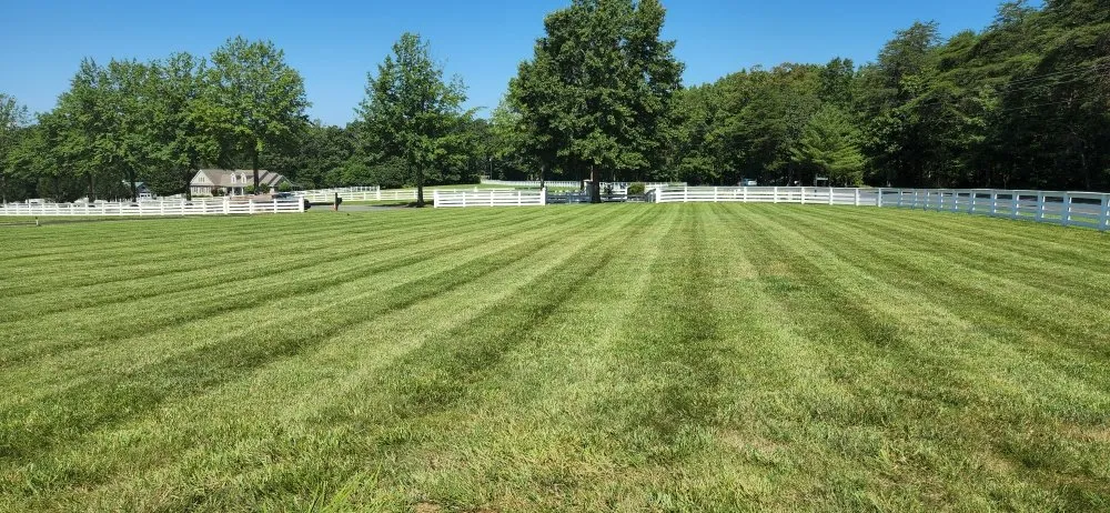 Affordable lawn care service in Culpeper, VA - LJ Lawn Care Service