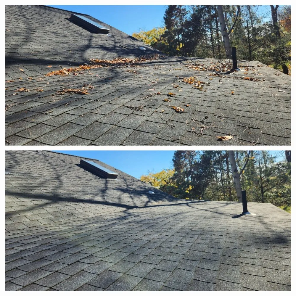 Professional landscape installation in Culpeper, VA by LJ Lawn Care Service