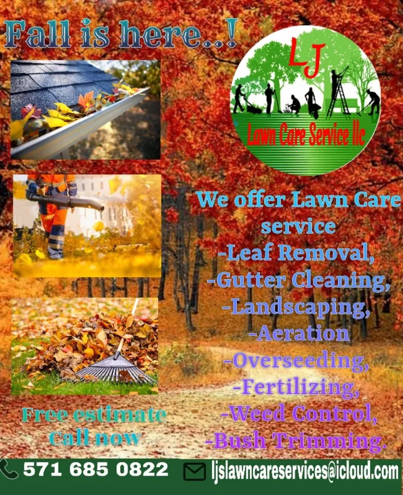 Reliable outdoor landscaping in Culpeper, VA by LJ Lawn Care Service