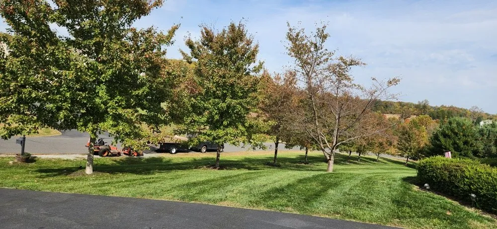 Local lawn care service experts serving Culpeper, VA - LJ Lawn Care Service