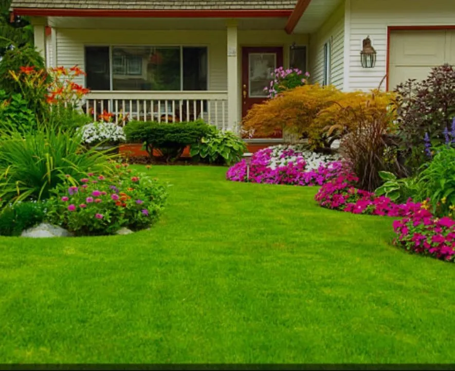 Reliable landscape design in Youngstown, FL - LJ Lawn Mowing and Trim