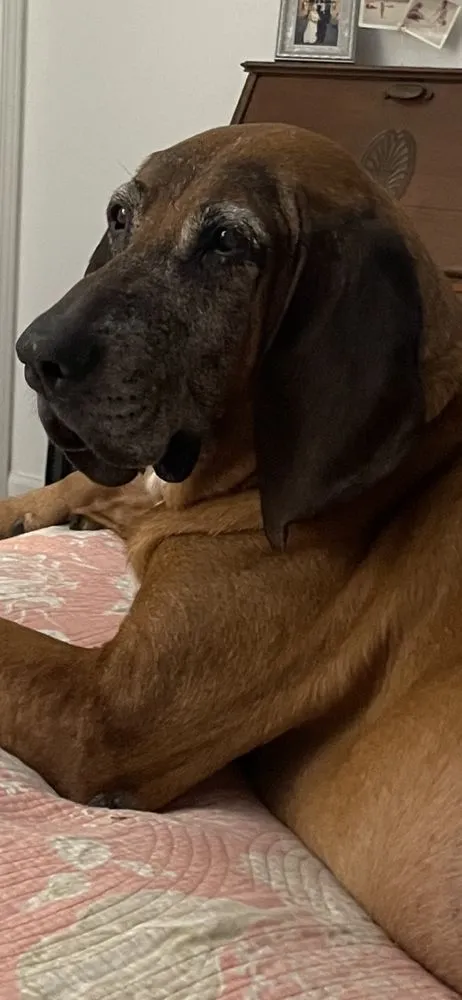 Affordable outdoor landscaping in Youngstown, FL - LJ Lawn Mowing and Trim