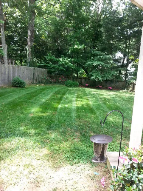 Custom landscaping services in Youngstown, FL - LJ Lawn Mowing and Trim