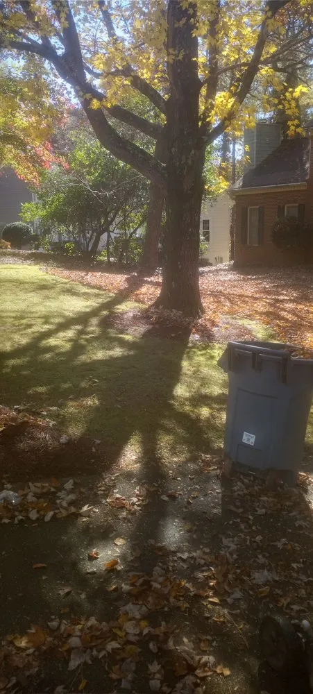 Expert residential landscaping for residential properties in Lithia Springs, GA by L&J Lawn Services