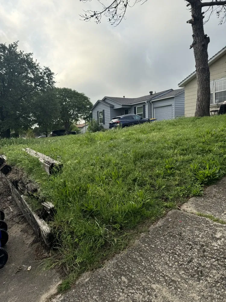 Professional lawn care service in Mansfield, TX by LJ Lawncare Service