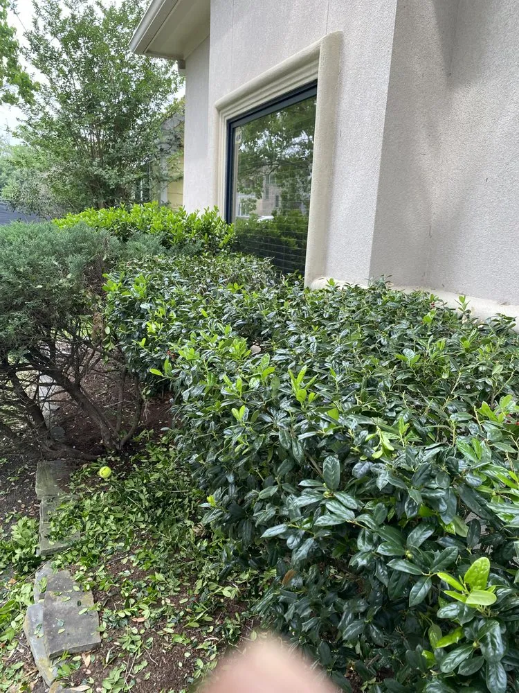 Reliable yard cleanup service in Houston, TX - LJ Lawncare Services & More