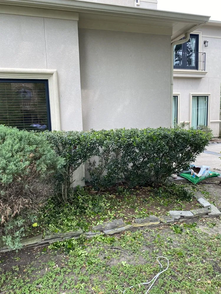 Reliable lawn care service near you across Houston, TX - LJ Lawncare Services & More