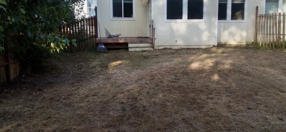 Trusted yard cleanup service near you in Wasilla, AK by LJ Lawns