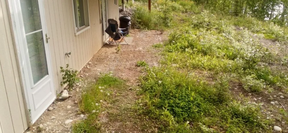 Custom yard cleanup service experts serving Wasilla, AK - LJ Lawns