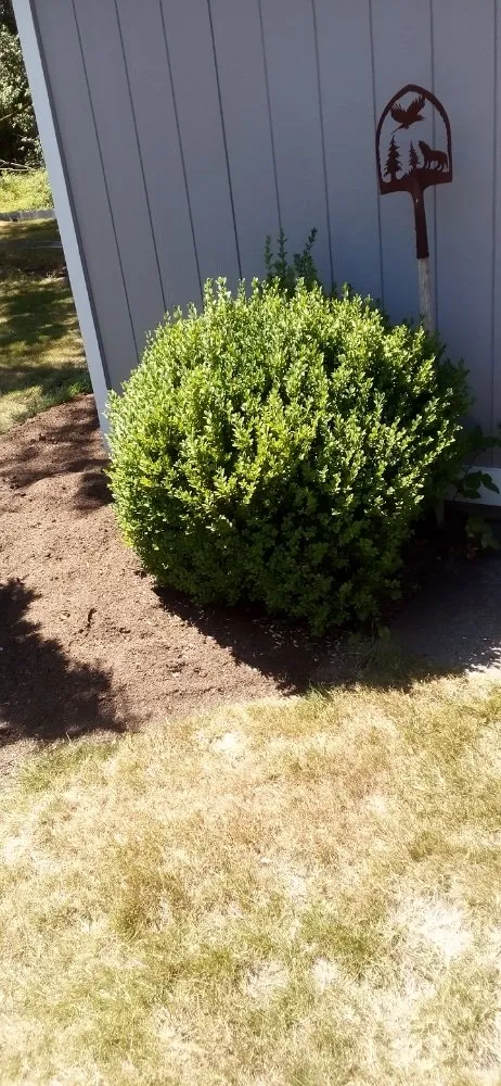 Custom landscape design experts serving Wasilla, AK - LJ Lawns