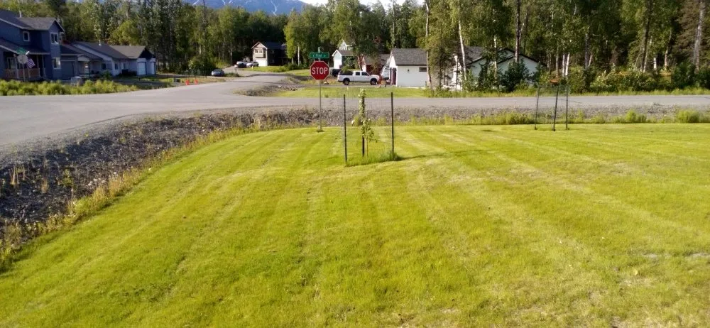 Local outdoor landscaping in Wasilla, AK - LJ Lawns