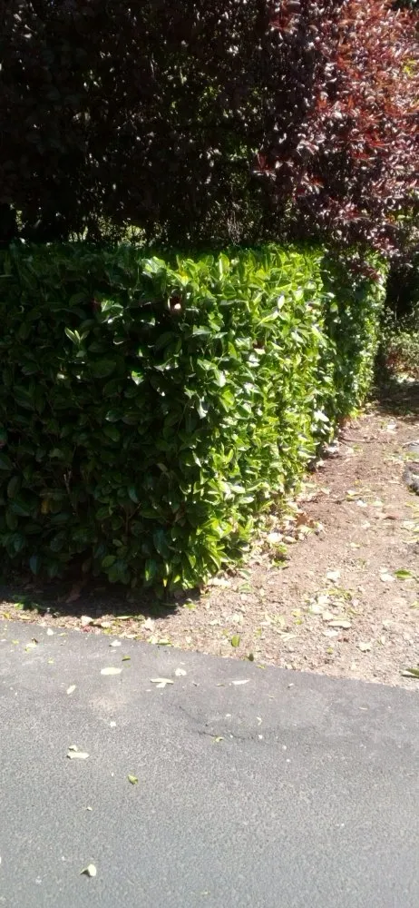 Top-rated landscape installation in Wasilla, AK by LJ Lawns