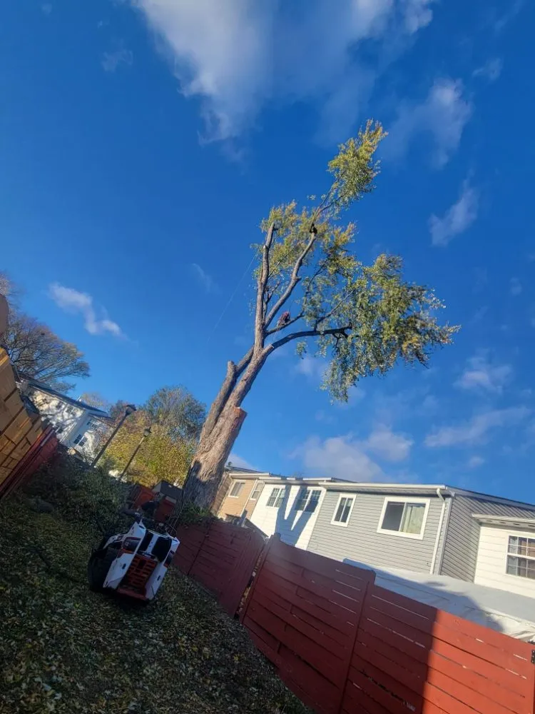 Expert landscape installation in Edgewater, MD - L&J Morales Tree Service & Landscaping