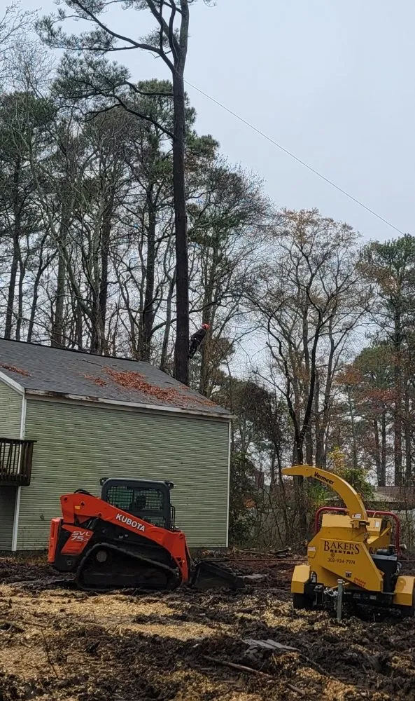 Affordable landscape design in Edgewater, MD by L&J Morales Tree Service & Landscaping