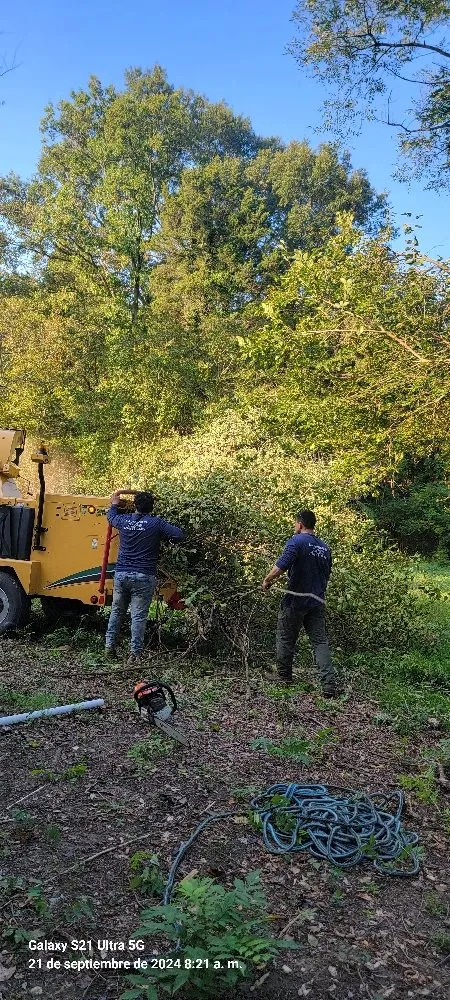 Professional garden landscaping in Edgewater, MD - L&J Morales Tree Service & Landscaping