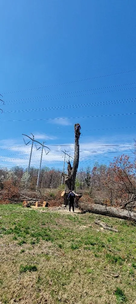 Top-rated lawn care service with custom design in Edgewater, MD by L&J Morales Tree Service & Landscaping