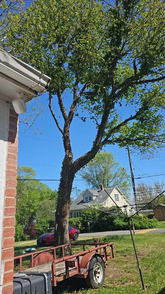 Professional landscape installation for beautiful yards across Edgewater, MD - L&J Morales Tree Service & Landscaping