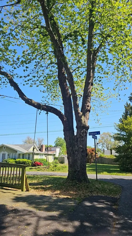 Reliable garden landscaping with custom design in Edgewater, MD by L&J Morales Tree Service & Landscaping