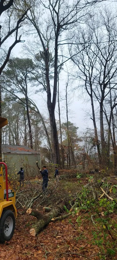 Top-rated lawn mowing service for year-round maintenance across Edgewater, MD - L&J Morales Tree Service & Landscaping