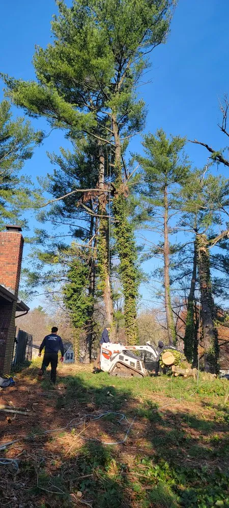 Affordable yard maintenance for residential properties across Edgewater, MD - L&J Morales Tree Service & Landscaping